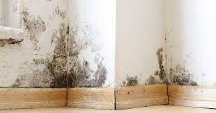 This image has an empty alt attribute; its file name is telechargement-11-1.jpg